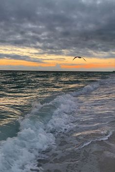 a bird flying over the ocean at sunset