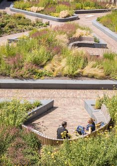 two people sitting on benches in the middle of a garden