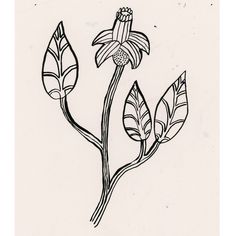 a black and white drawing of a flower