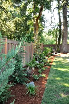 a garden with lots of different plants and trees in the back yard, next to a wooden fence