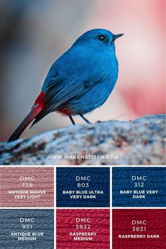 a blue bird sitting on top of a rock next to red and purple paint swatches