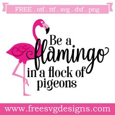 a pink flamingo with the words be a flamingo in a flock of pigeons