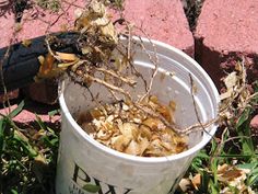 a bucket full of dirt sitting on the ground