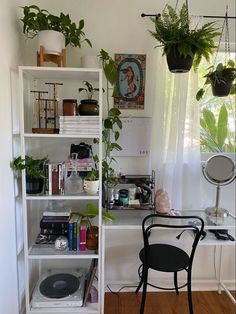 a room with a desk and shelves filled with plants