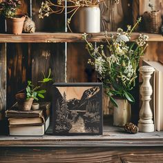 a shelf with books and plants on it