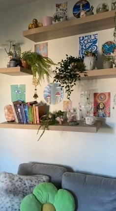 a living room filled with furniture and lots of plants on top of wooden shelving