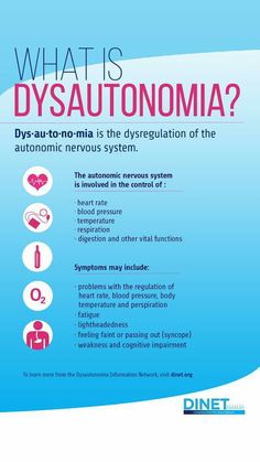 Autonomic Nervous System, Stomach Fat, Lower Blood Pressure, What’s Going On