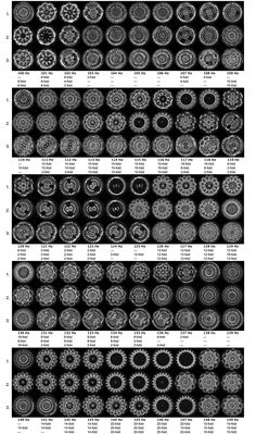 Frequency Scale, Triangle Wave, Sound Vibration, Sacred Geometry Patterns, Alchemy Art, Sacred Geometry Art, Physics And Mathematics, Sound Art, Spirit Science