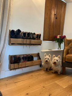 two small white dogs standing next to each other in front of a wooden shoe rack