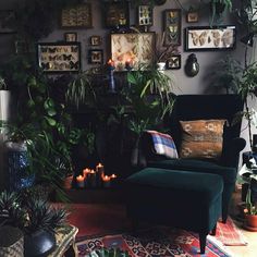 a living room filled with lots of plants next to a fire place and pictures on the wall