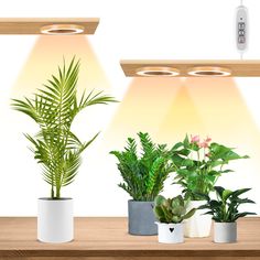 three potted plants are sitting on a shelf under two spotlights with remote controls