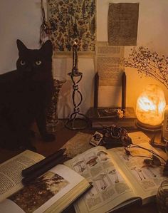 a black cat sitting on top of a table next to an open book and candle