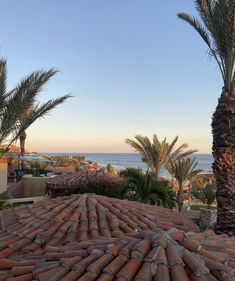 the roof of a building with palm trees in front of it and an ocean view