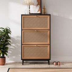 a wooden cabinet with two drawers and a plant in the corner next to it on top of a rug