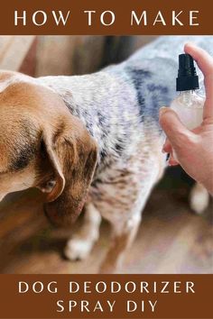 a dog with its head in a spray bottle and the words how to make dog deodorizer spray diy