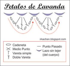 the diagram shows how to draw an eyeball for each individual's eyes and their features