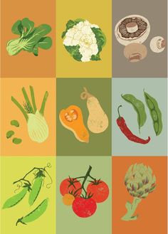 an assortment of vegetables are shown in four different color squares, including broccoli, cauliflower, and peppers