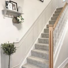 there is a potted plant on the stairs next to the bannister in this house