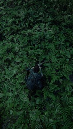 a person with a backpack is walking through the grass and plants in the woods, looking down at something