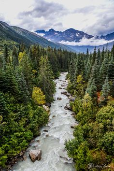 a river running through a forest filled with lots of green trees and tall mountains in the distance