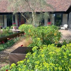 an outdoor garden with flowers and plants in the foreground, next to a house