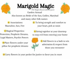 an orange flower with the words margold magic written below it