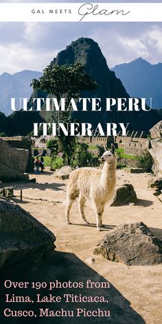 llamas are standing in the dirt near some rocks and mountains with text that reads ultimate peru itinerary over 19 photos from lima, lake titicaca