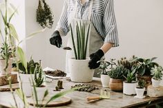 a woman standing in front of a table filled with potted plants and succulents