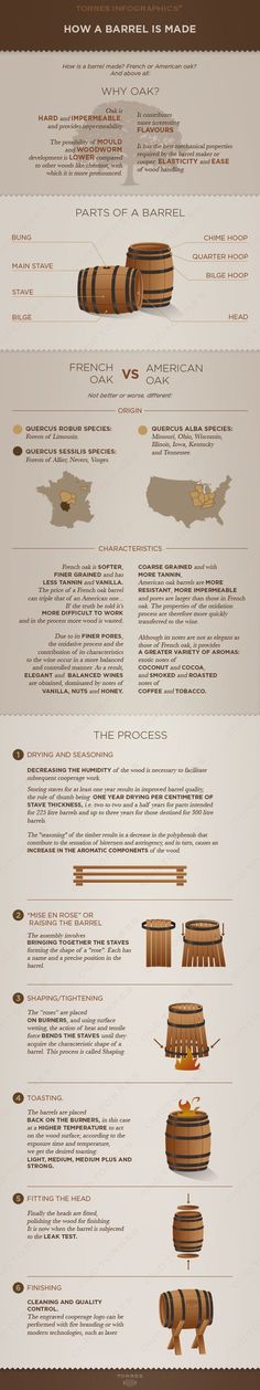 an info sheet showing the different types of boats