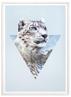 a snow leopard's face with mountains in the background and blue sky above it