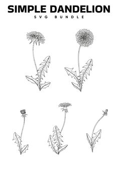 the simple dandelion svg bundle is shown in four different sizes and colors