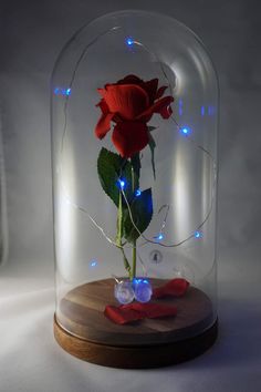 a red rose in a glass dome with blue lights on the base and wooden stand