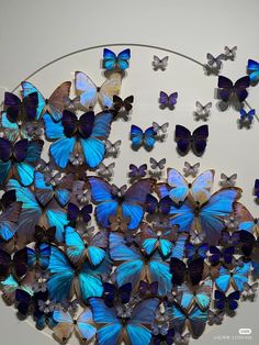 a bunch of blue butterflies on a white wall