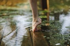 a person walking in the rain with their bare feet sticking out from under water lilies