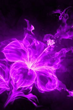 🔥 [48+] Cool Purple iPhone Wallpapers WallpaperSafari Purple Hibiscus, Fire Flower, Purple Reign, Purple Love, All Things Purple, Purple Rain, Purple Wallpaper, Fractal Art