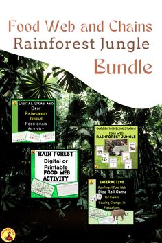 Rainforest food web and chains interactive activities Rainforest Food Web, Secondary Science