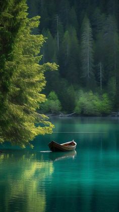 a small boat floating on top of a lake surrounded by green trees in the forest