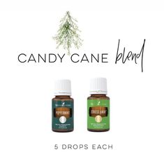 Young Living Essential Oil Diffuser, Christmas Diffuser Blends, Young Living Oils Recipes, Living Oils Recipes, Essential Oils Guide, Yl Essential Oils