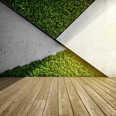 an empty room with wooden floor and green plants on the wall