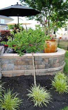 an outdoor patio area with stone walls, plants and potted plants on the ground