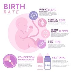 the birth rate is shown in pink and purple colors, with information about its stages