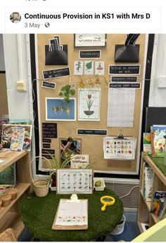 a bulletin board with lots of plants and pictures on it's side, in front of a classroom desk