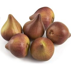 five pears are shown on a white background