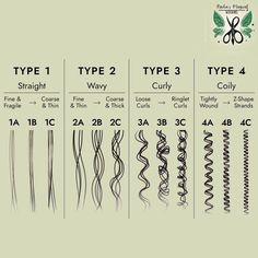 How To Know What Your Hair Type Is, Types Of Wavy Hair Chart, How To Find Hair Type, How To Find Out Your Hair Type, Different Types Of Wavy Hair, Type Of Hair Texture Chart, How To Know Your Hair Type, What Type Of Curly Hair Do I Have, Hair Types Chart Texture