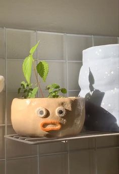 a potted plant with a face on it