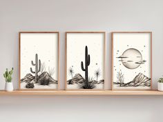 three framed art prints on a shelf above a potted plant and cacti