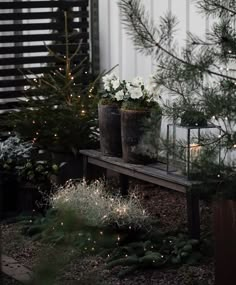 potted plants sitting on a wooden bench in front of a white building with lights