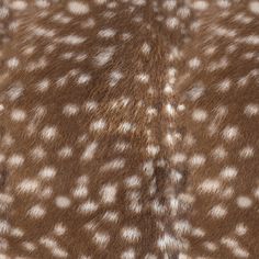 an animal fur with white spots on it