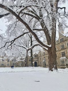 two people are walking through the snow in front of an old building with large trees