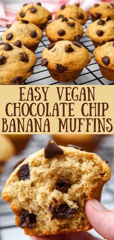 easy vegan chocolate chip banana muffins are the perfect treat to eat for breakfast